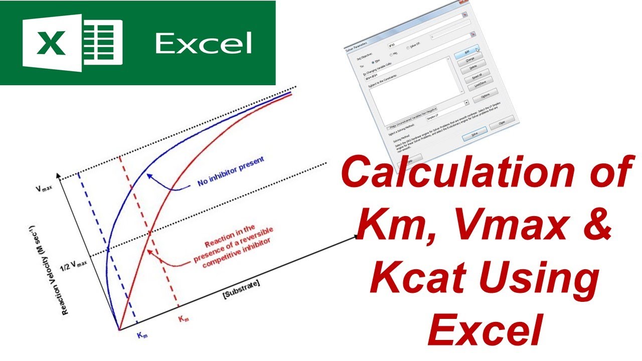 Enzyme Km, Vmax & Kcat Calculation Using Excel Solver (Easy Method)