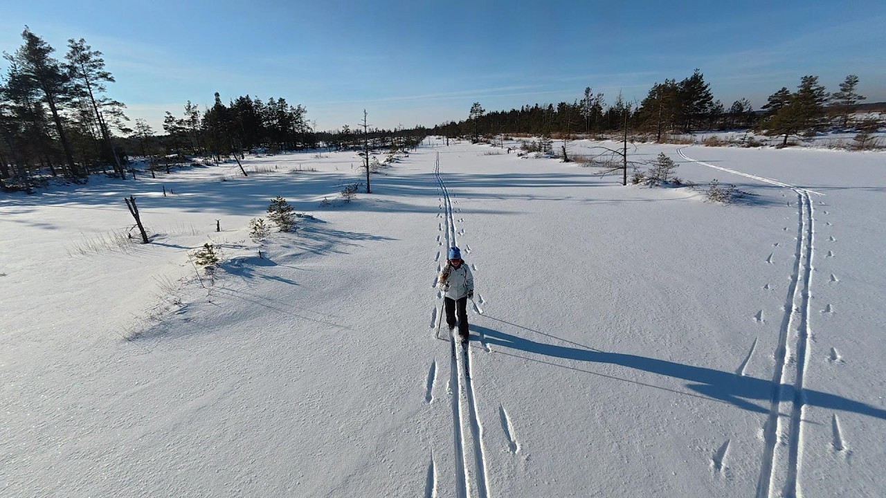 - 20 C Skiing At Swamp in Latvia. Slēpošana pa aizsalušo Ķemeru tīreli.