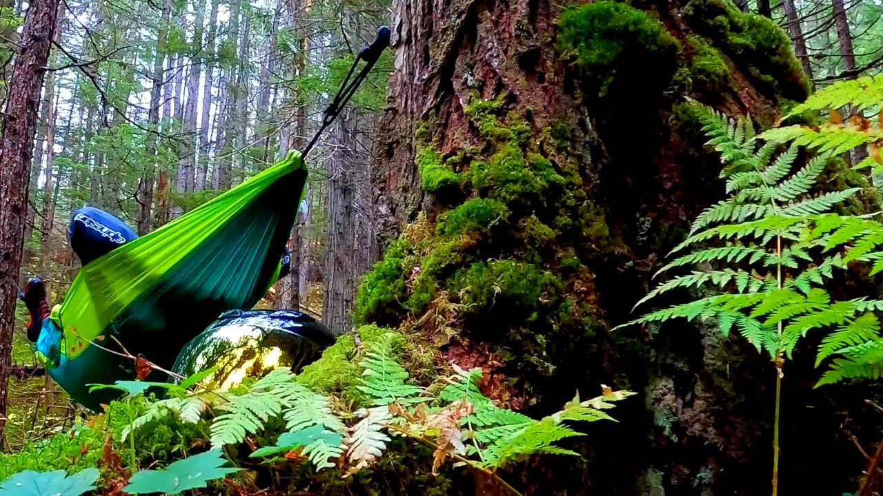 Motorcycle Fall Cruise In Mountains And Forest | Tasty Hot Lunch Beside Clear Creek And Hammock Nap