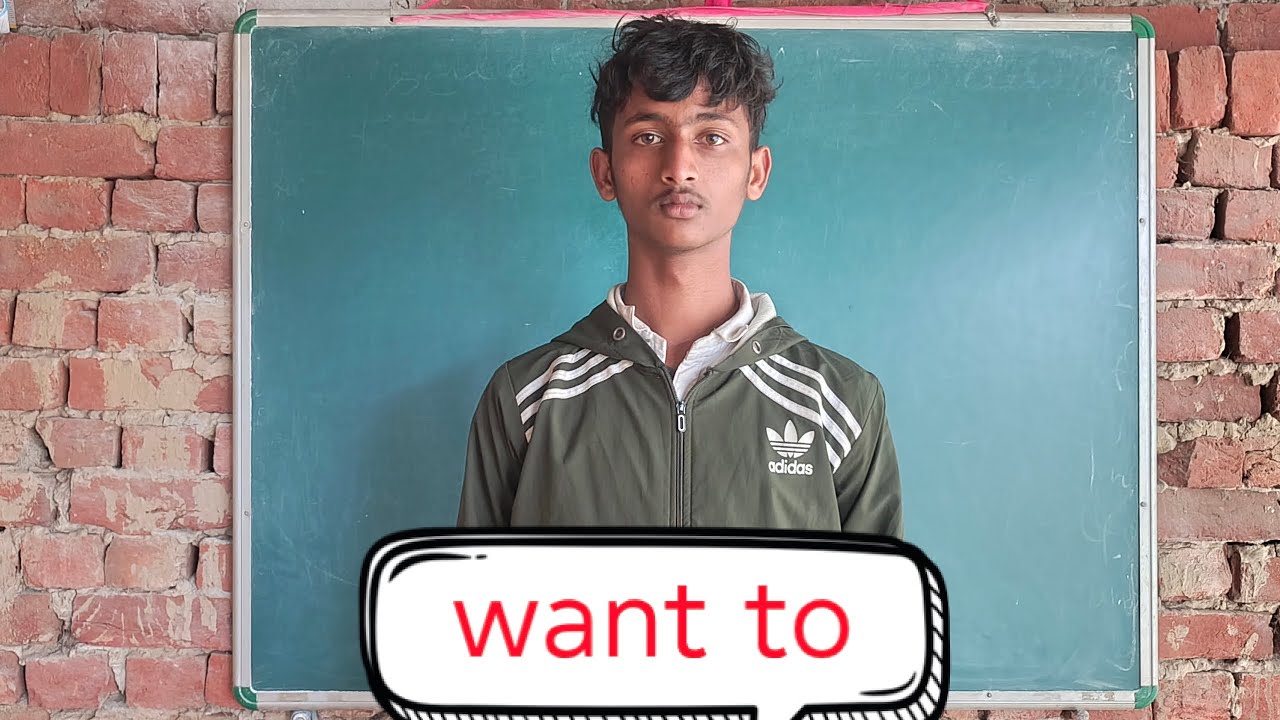 Want To ka prayog