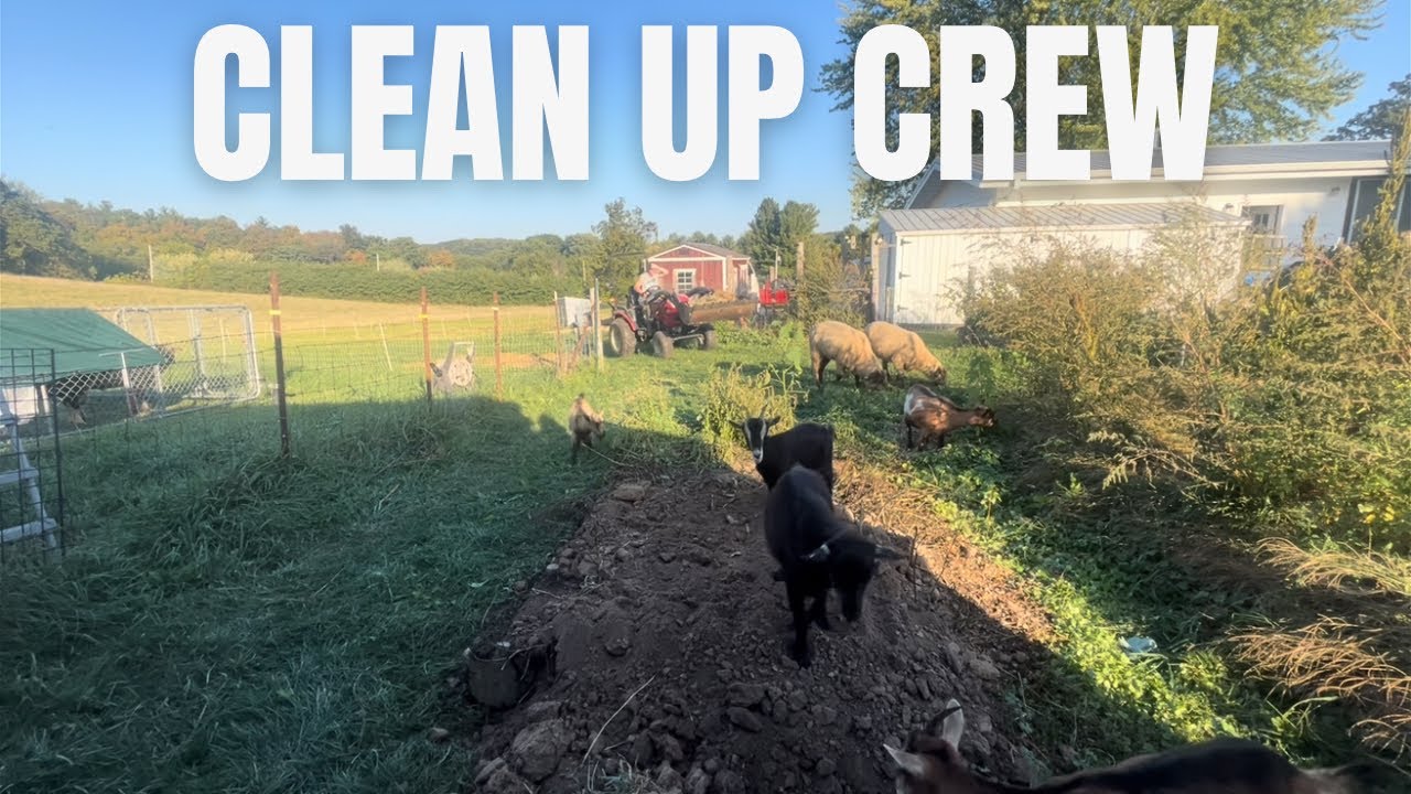 Clean up crew 