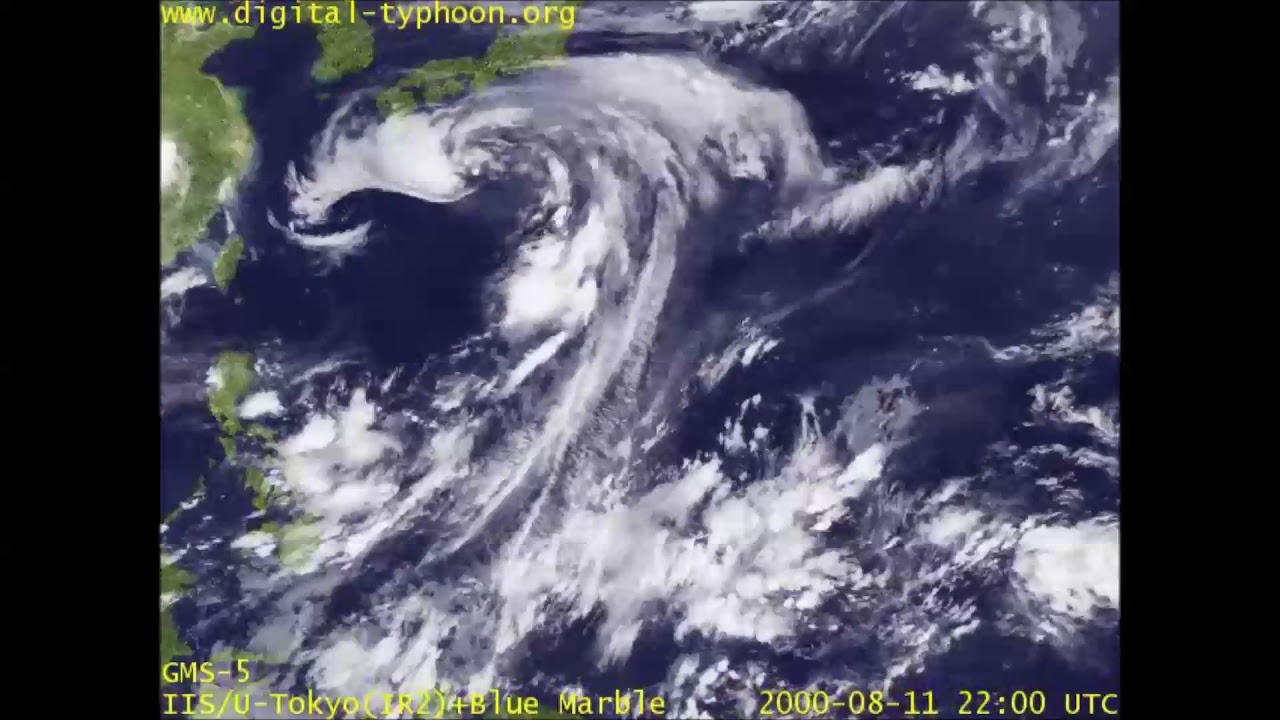 2000 Pacific typhoon season