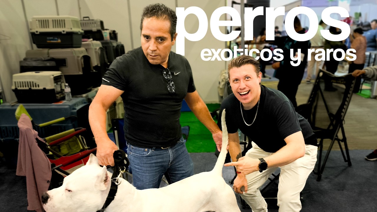 LOS PERROS MAS CAROS DE EXPO CAN 2024 - Perros Raros y Exóticos - MarioBlogs