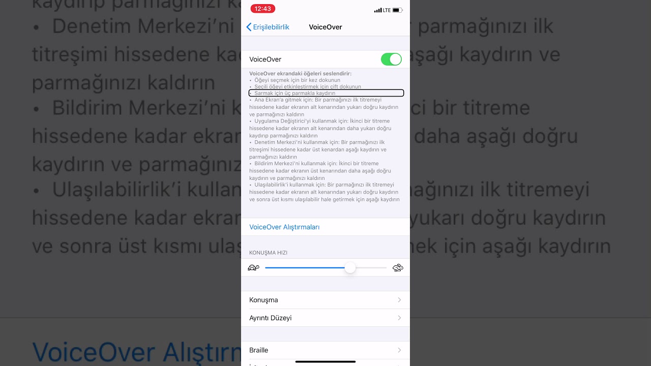 VoiceOver kullanımı-1: Etkinleştirme ve erişilebilirlik ayarlarını tanıma