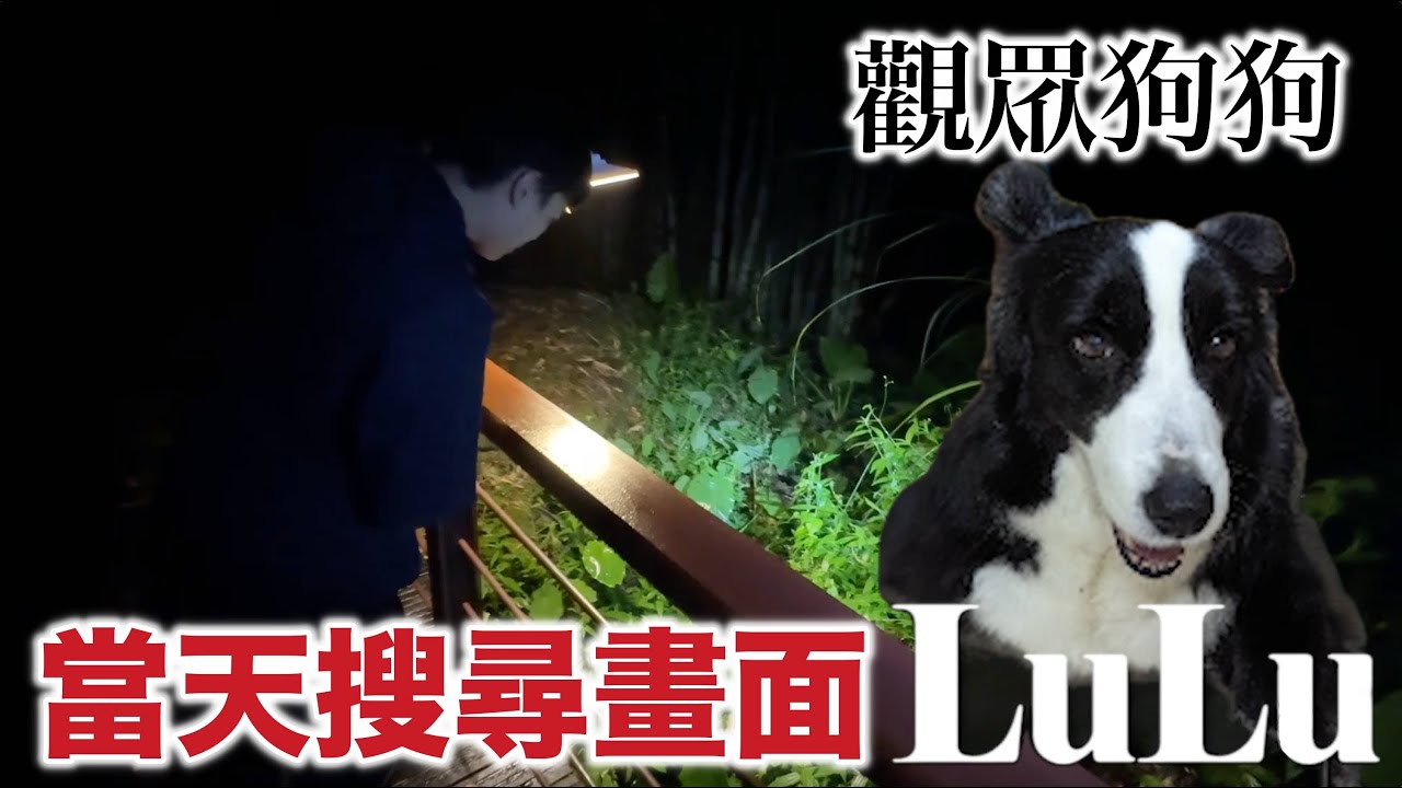 英雄神支援 - 救狗計畫後續 當晚搜尋畫面！