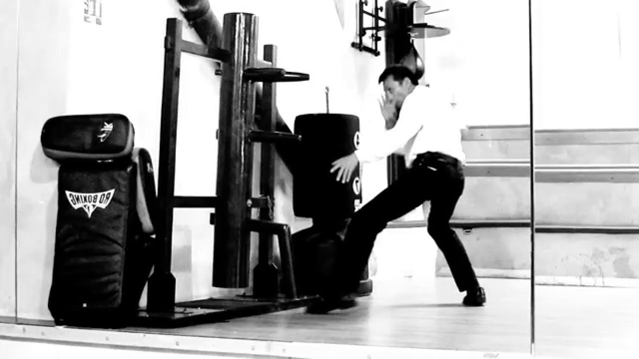 Real Jeet Kune Do explosive fighting by Founder of GU QI DAO /  Wooden Dummy