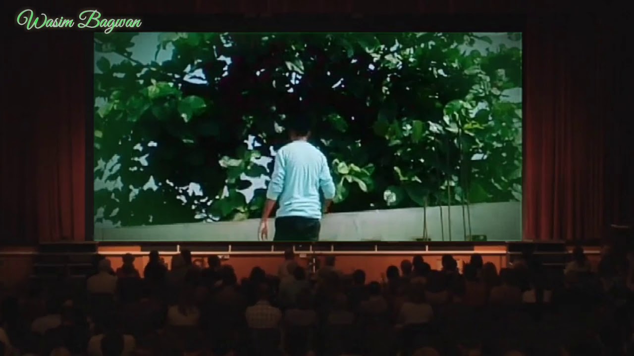 Tik tok video's play in cinema theater || WASIM BAGWAN ||