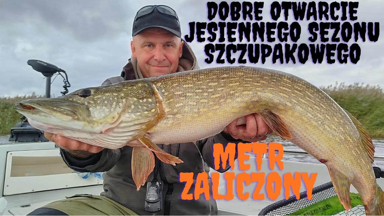 Jesienny sezon szczupakowy rozpoczęty