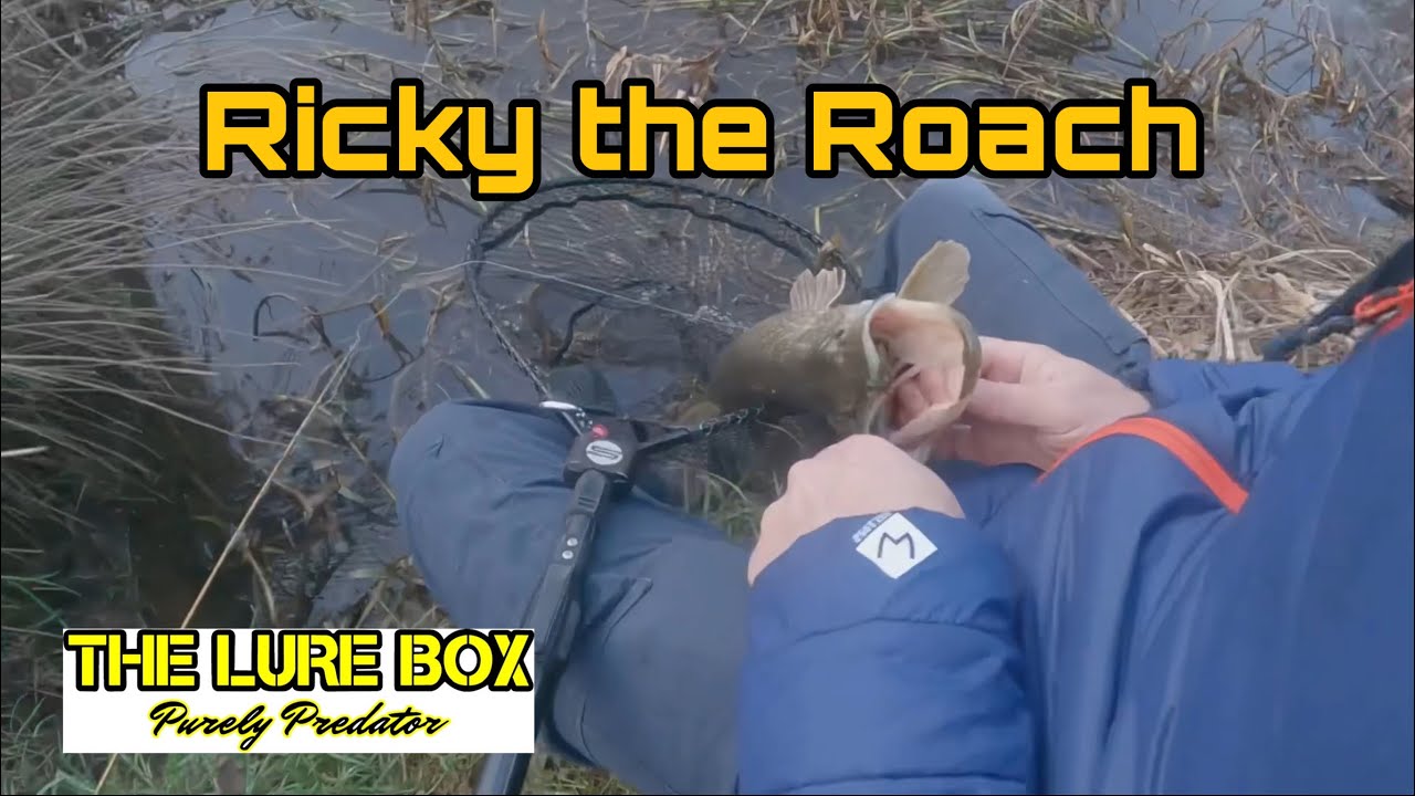 Ricky the Roach strikes again!! #lurefishing #westinfishing #lurefishinguk