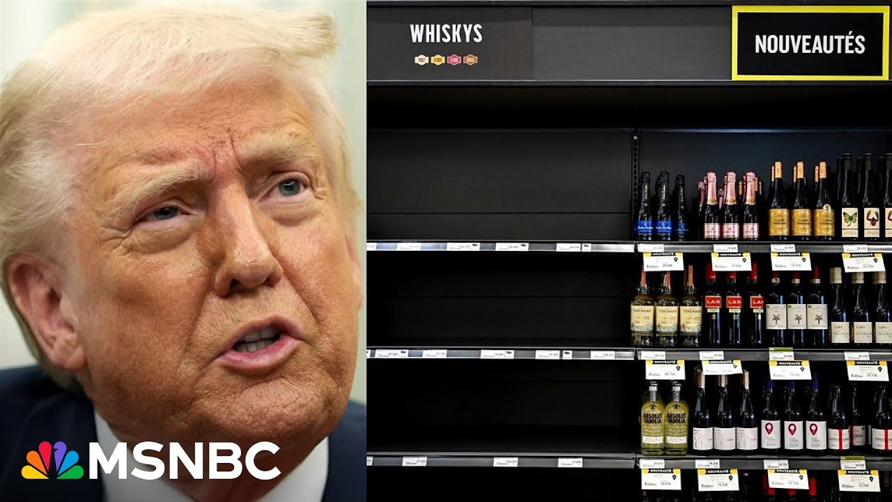 Trump’s tariffs will have ‘direct and immediate’ consequences on U.S.: Fmr. U.S. Chief Economist
