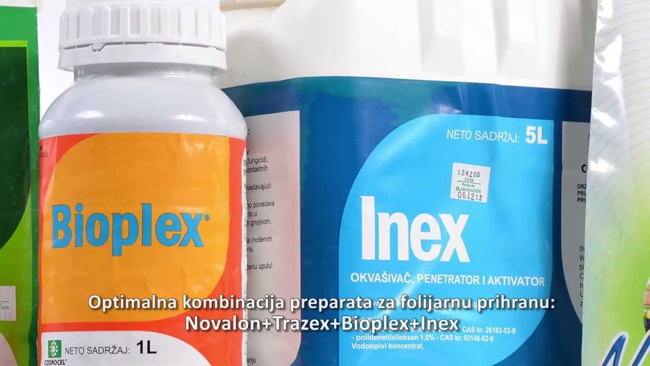 Agrimatco - Folijarna prihrana pšenice