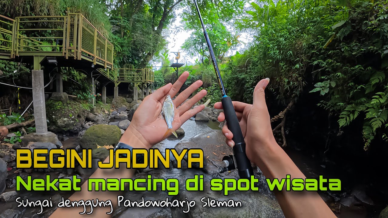 🍃 BEGINI JADINYA ‼️ NEKAT MANCING DI SPOT WISATA || SUNGAI DENGGUNG SLEMAN YOGYAKARTA 💥