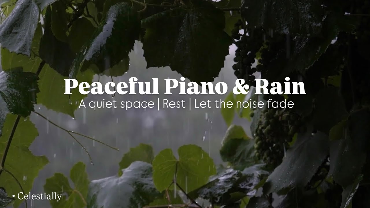 1 Hour Soft Piano and Rain for Deep Relaxation 🌧️🍃☔️