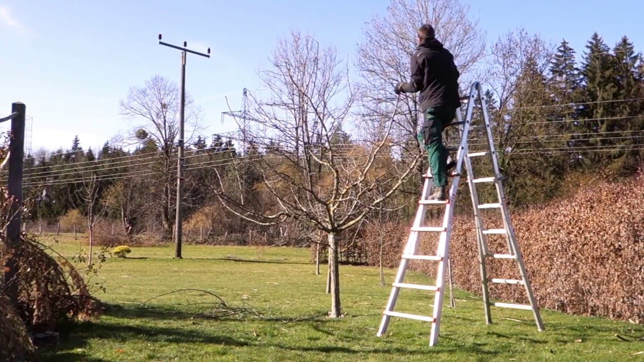 Apfelbaum richtig schneiden | Obstbaumschnitt | TUTORIAL | HD