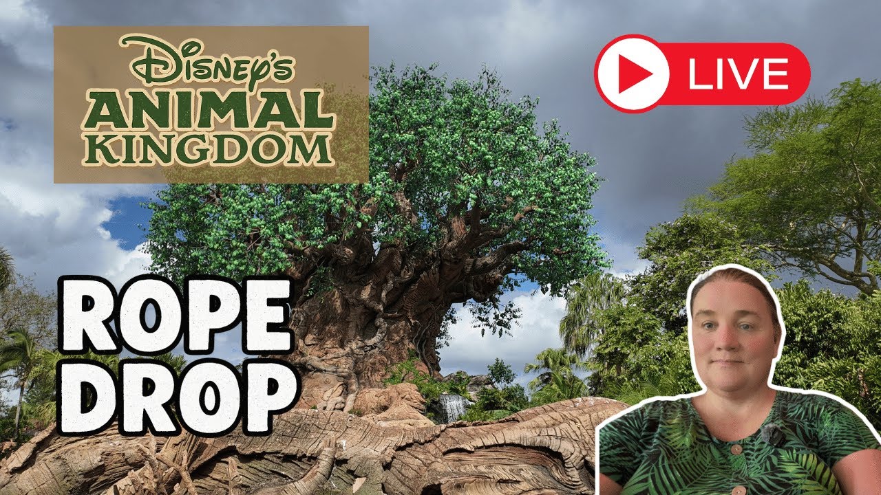 🔴 LIVE: Animal Kingdom at Walt Disney World – Safari, Avatar Rides & More!