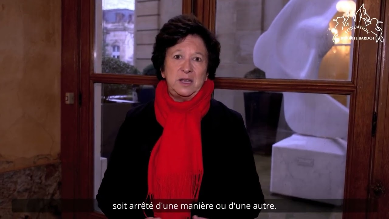 Il est temps d'en finir avec la maltraitance animale !