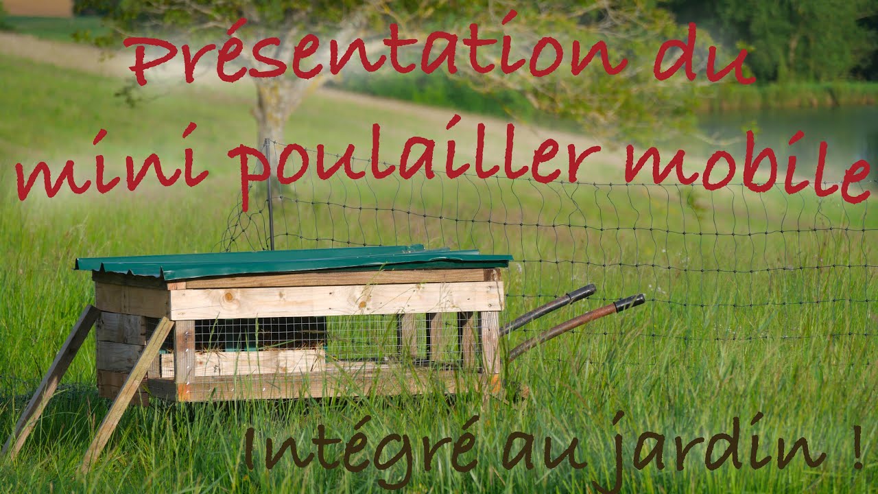 Petit poulailler mobile du jardin potager