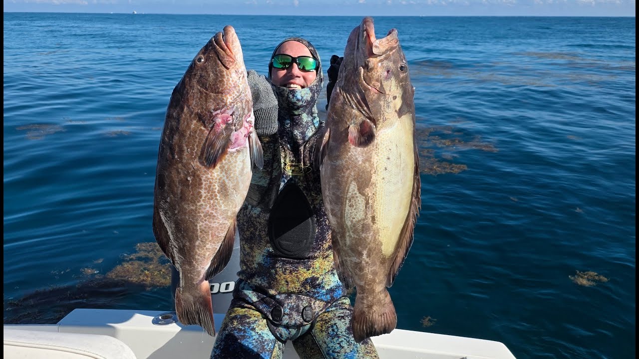 Miami SpearFishing ( Pesca Submarina en Miami, Florida, USA )
