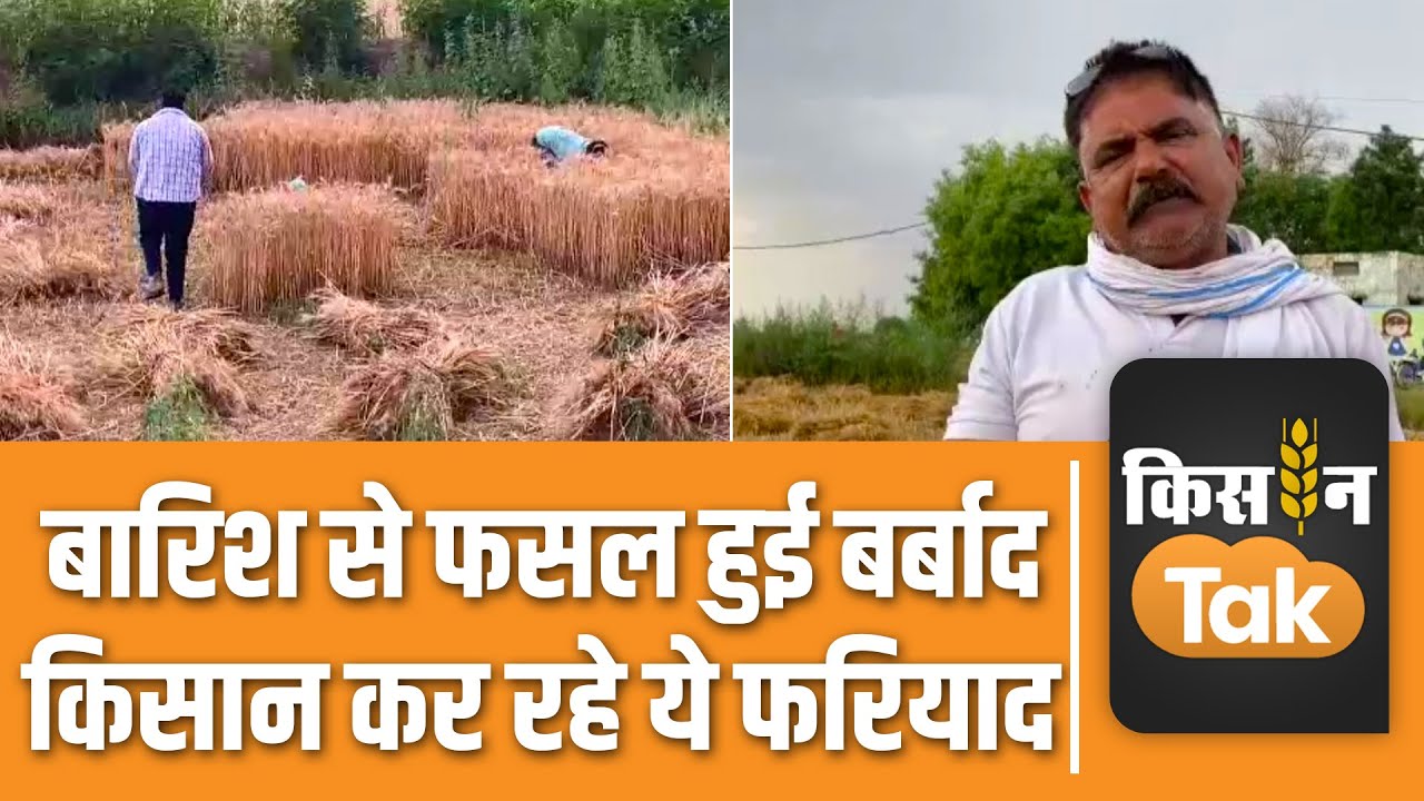 Crop Damage: किसानों के लिए आफत बनी Rain, सरकार से कर दी ये मांग | Kisan Tak