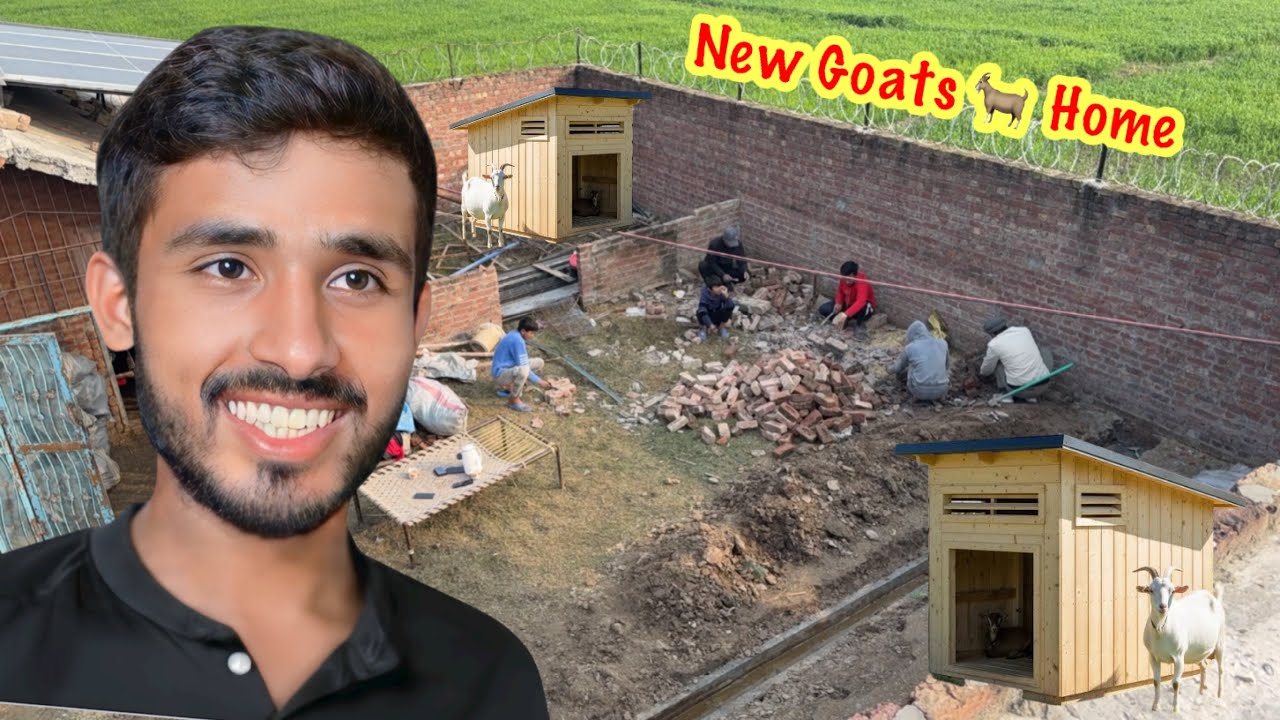 New Goats 🐐 Home Ka Kaam Start Ho Gaya 😍