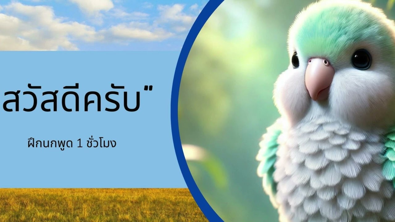 ฝึกนกแก้วพูด หัดนกพูด นกแก้วพูดได้ - สวัสดีครับ