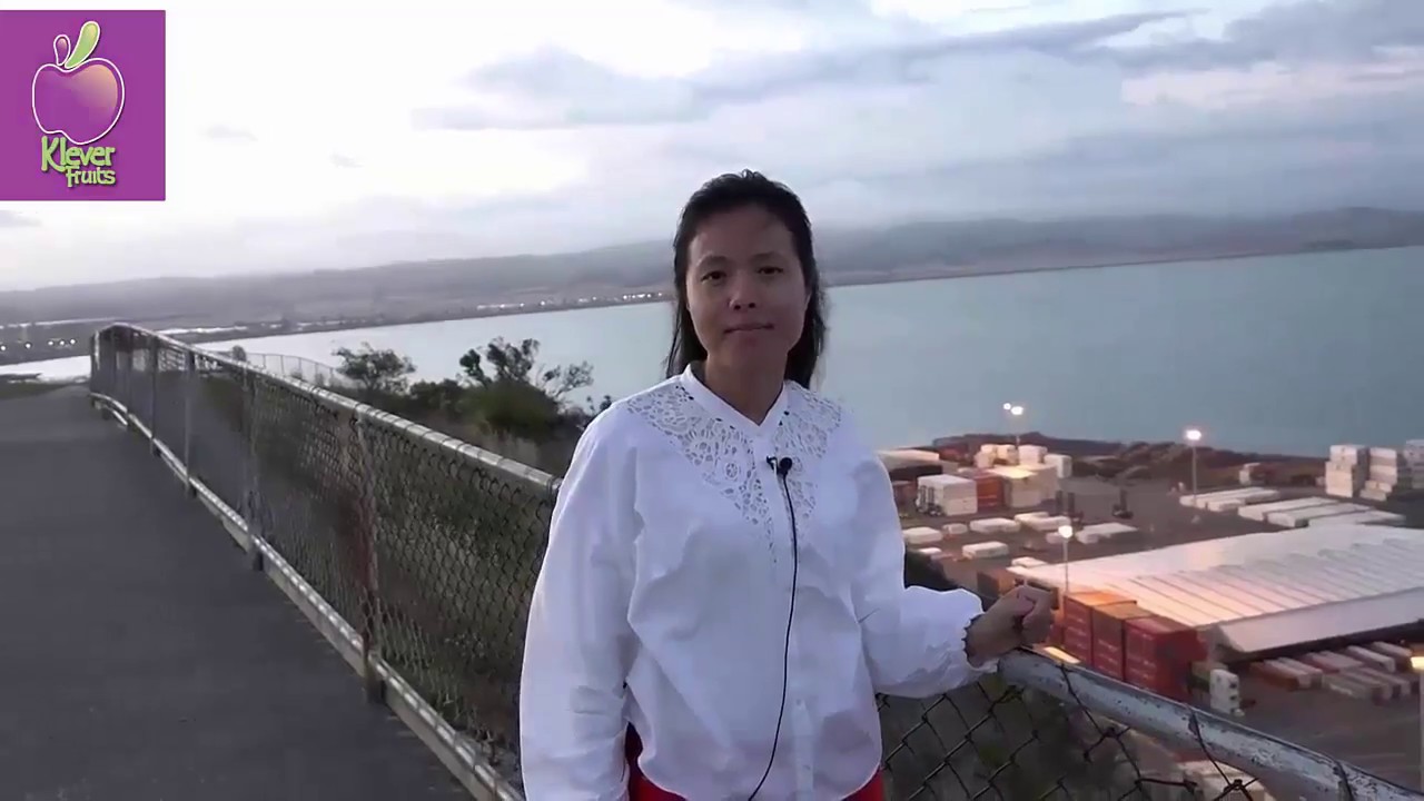 BẬT MÍ CÔNG NGHỆ TRỒNG TÁO SẠCH VÀ HIỆN ĐẠI NHẤT NEW ZEALAND