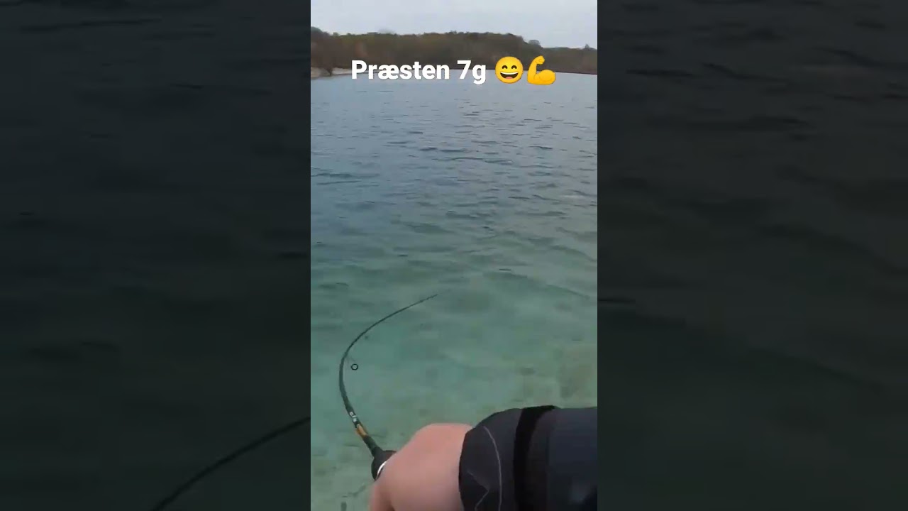 Goldentrout Hookup