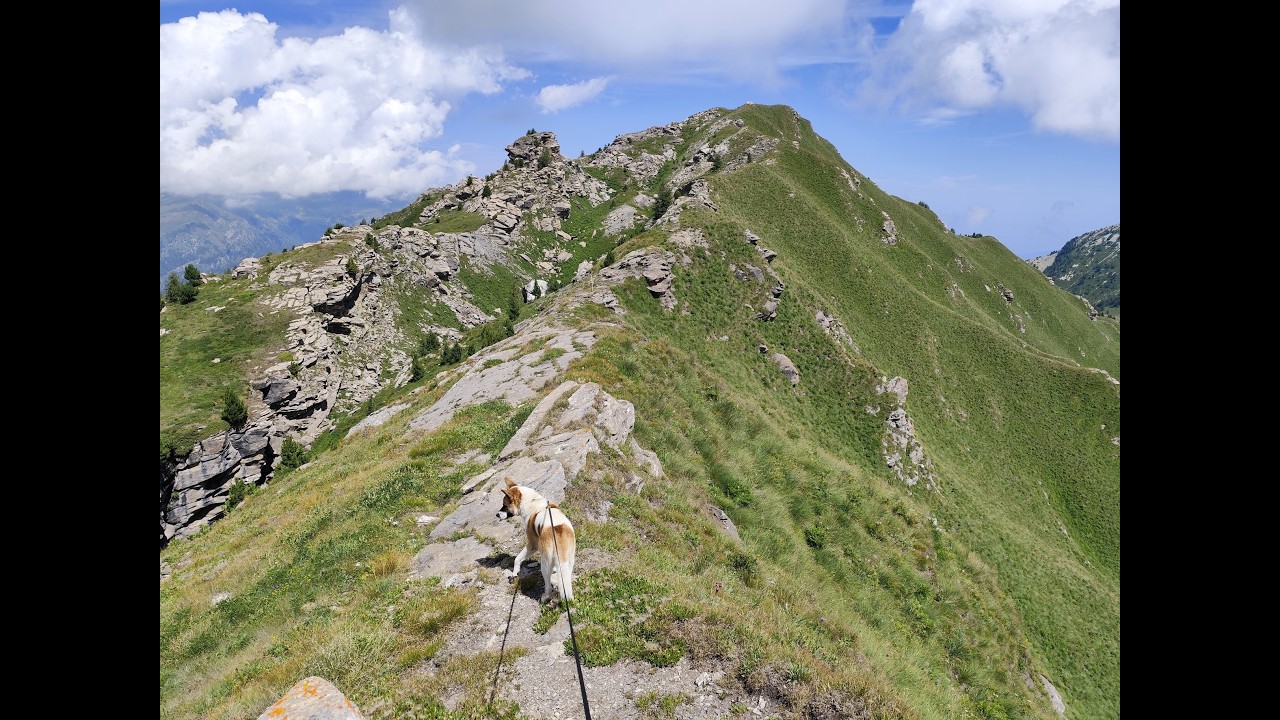 Escursione dal Colle di Sampeyre ai Monti Nebin, Cugulet e Cima Lubin 08_08_2024
