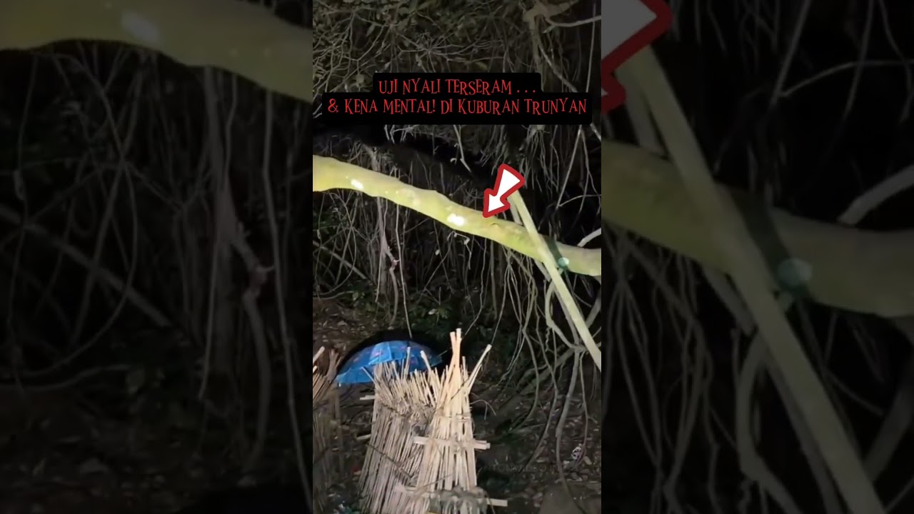 UJI NYALI TERSERAM ..! kena mental wisata mistis di kuburan TRUNYAN #angker #mistis #trunyan