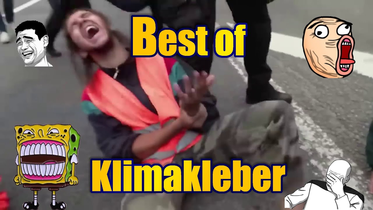 Best of Klimakleber Compilation - Panzerkrieger #letztegeneration  #klimakleber #roadrage #gr&uuml;ne