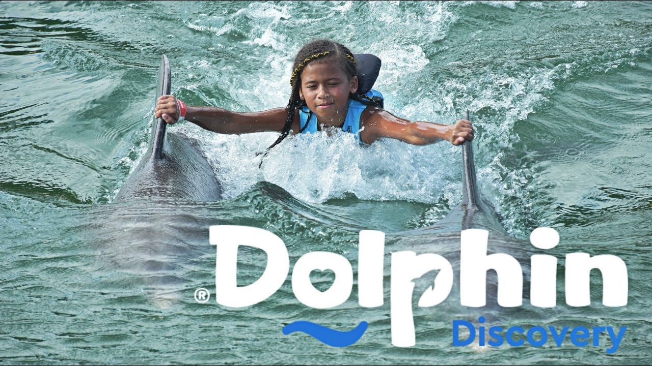 Dolphins Discovery Riviera Maya Mexico Dream Puerto Aventuras Resort and Spa | MyhouseTV