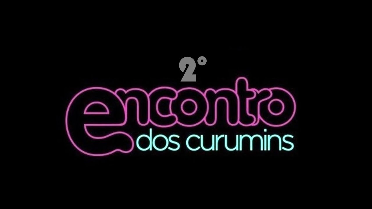 2.o Encontro dos Curumins