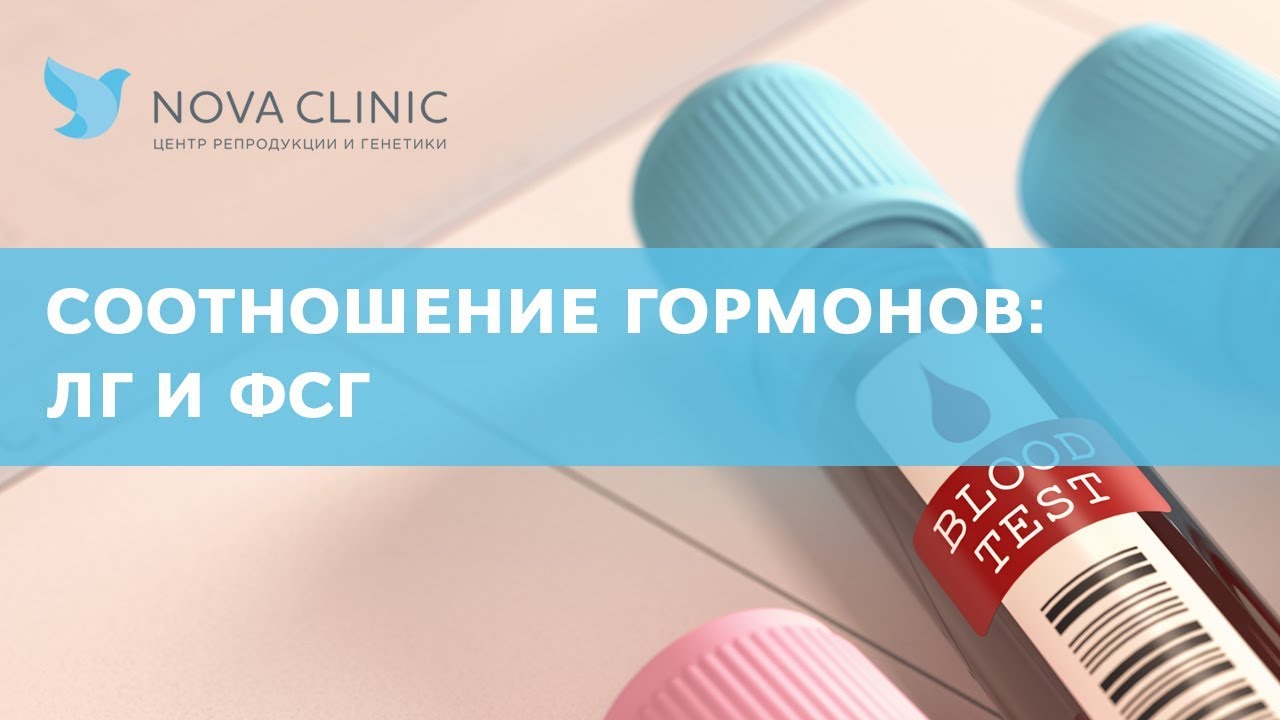Соотношение ЛГ и ФСГ