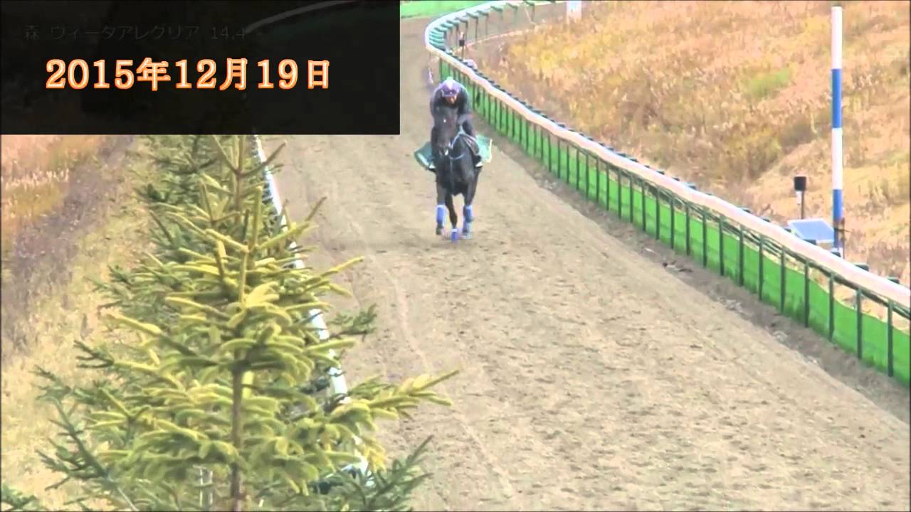 ブラックバゴ　15年12月後半天栄