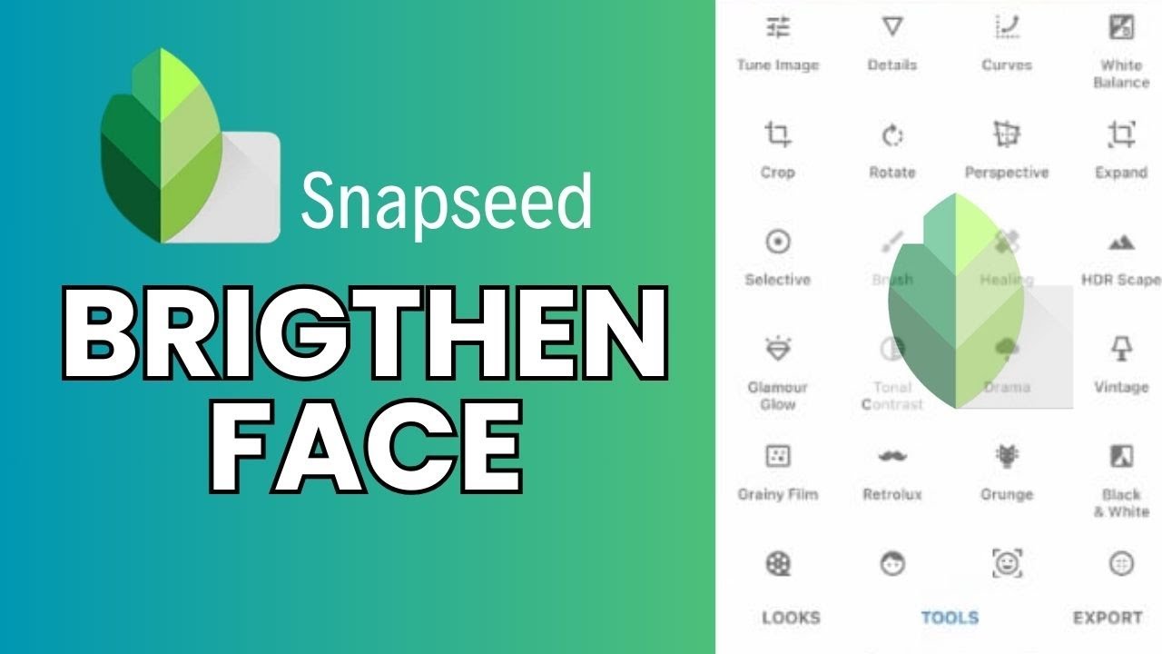 How to Brighten Face in Snapseed 2024?