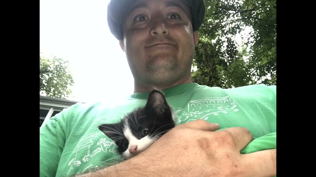 Rescue Kitten Found