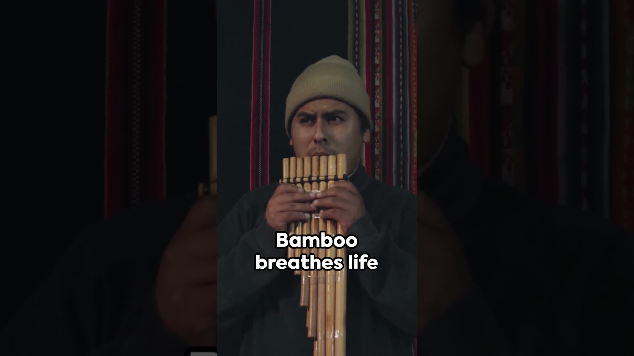 Bamboo Beats: The Musical Revolution #BambooInstruments #BambooMusic