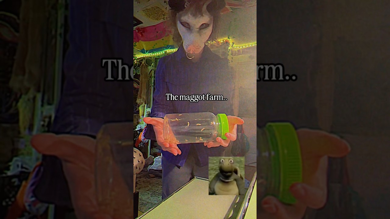 The maggot farm throws them off- { #strangehuman #maggots #maggotfarm #theriantropy }