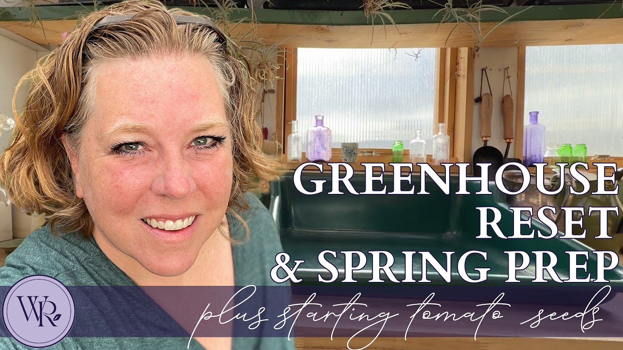 Clean My Greenhouse With Me + Start Tomato Seeds | Beginner Seed Starting Guide #gardening #garden