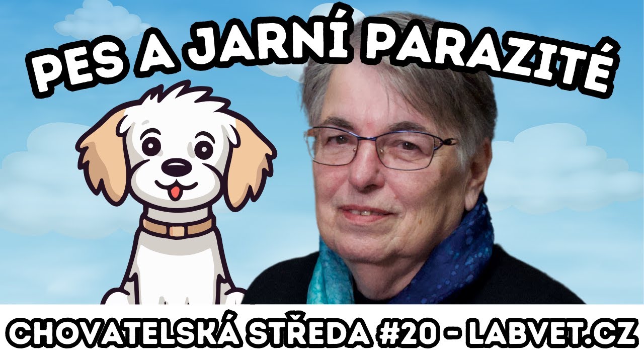 🐶 Pes a JARNÍ PARAZITÉ 🐶 | Chovatelská středa #20