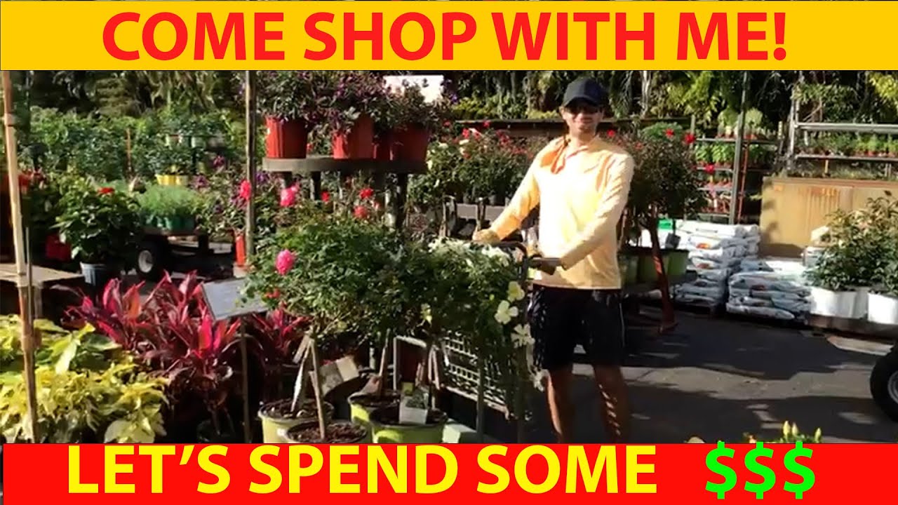 NURSERY VISIT: New plants so come shop with me!