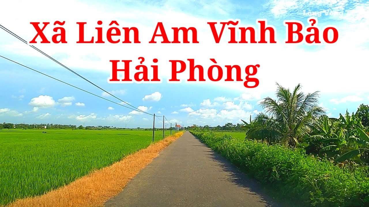 Xã Liên Am Vĩnh Bảo Hải Phòng / Lòng Vòng TV