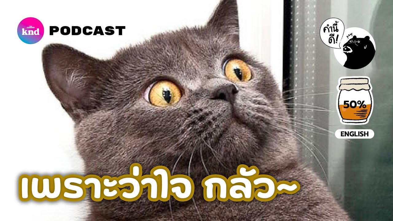 7 Fear Archetypes | ความกลัว 7 อย่างที่รั้งชีวิตคุณไว้ | คำนี้ดี EP.735