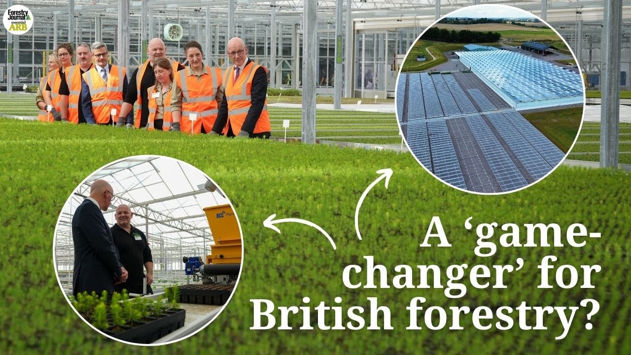 The new tree nursery that could grow 19 million trees a year (and plant 1m per day)