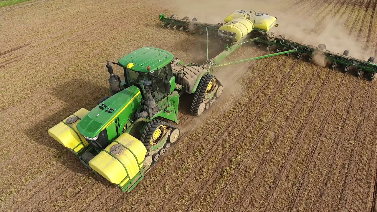 PLANT 18