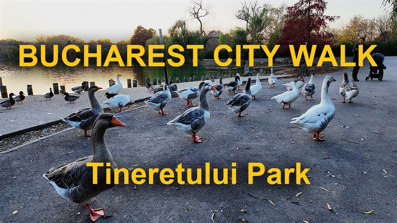 Tineretului Park (Youth's Park) is 94 hectares large public park in southern Bucharest