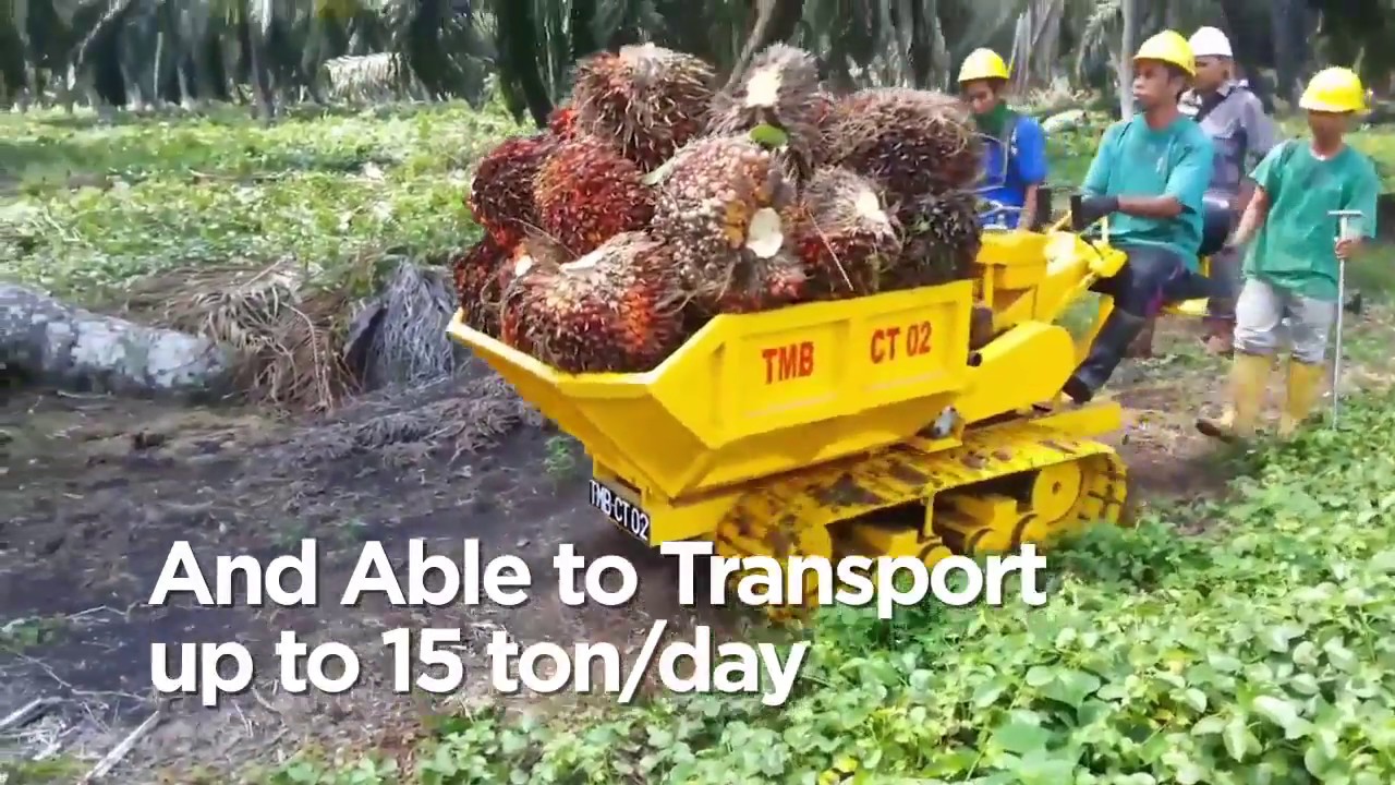 FASTREX CT 02 -  Mini Transporter Angkut Sawit dan Logistik