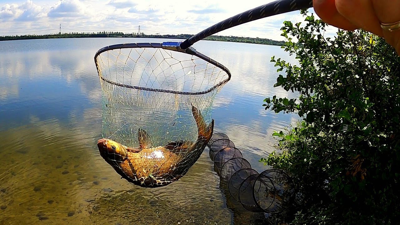 ТРОФЕЙНЫЕ ЛЕЩИ!!! (Рыбалка на фидер.)