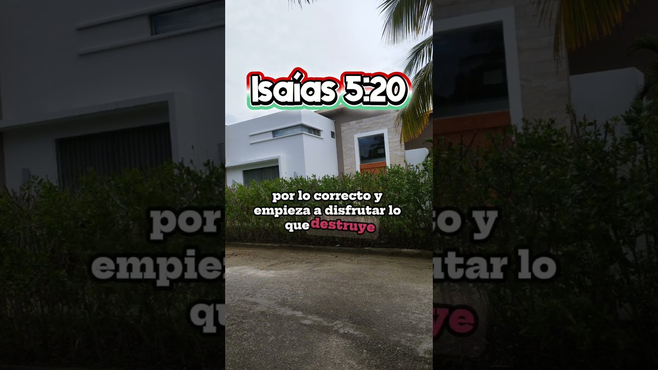 Reflexión de vida 