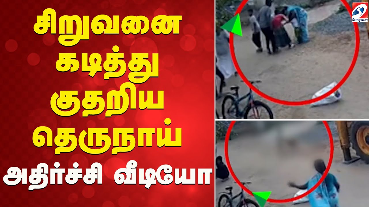 சிறுவனை கடித்து குதறிய தெருநாய் - அதிர்ச்சி வீடியோ | Street Dog Attack | Ramanathapuram |